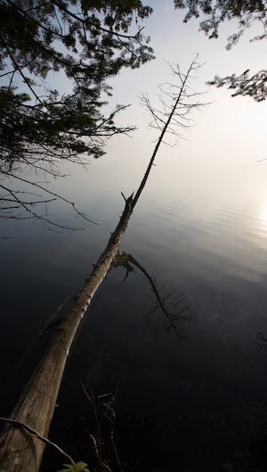 Foggy Morning, Thorne Twp, Quebec, Canada, Sep 2007