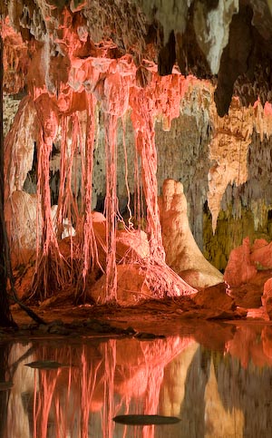 Detail from Dry Cave or Cenote,
 Labnaha, near Tulum, Mexico, Jan 2008