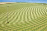 Mowed Field with Utilities, Northern Ireland, Sept 2008