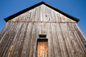 Glowing Barn Boards, the Pontiac, Quebec, Sept 2009