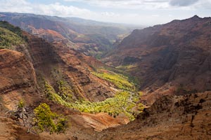 Verdant Valley high in Waimea Canyon, HI, USA, Nov 2010