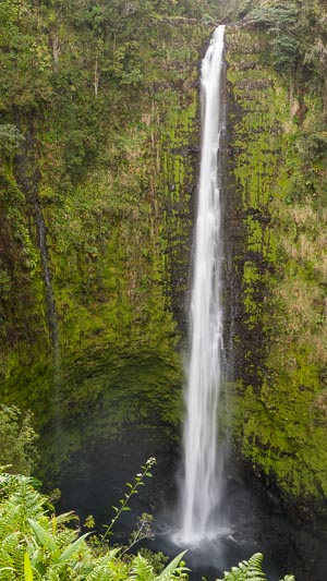 Akaka Falls tumbles into its pool surrounded by canyon greenery, Hawaii, HI, USA, Feb 2015